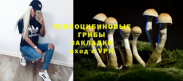 твердый Белокуриха