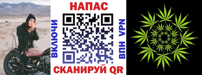 купить  сайты  Володарск  Канабис Bruce Banner 